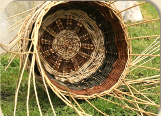 A basket half made using willow.